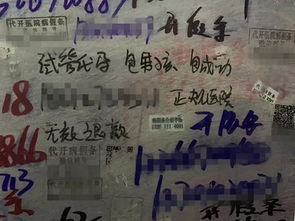 供卵代孕明细 供卵代孕明细