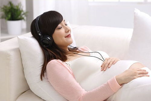 试管供卵代孕哪家好