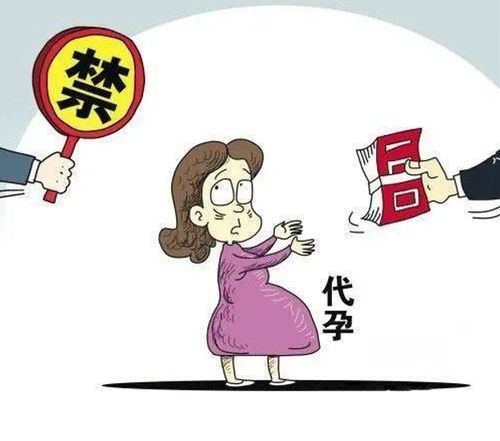 试管供卵代孕合同